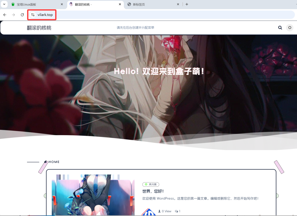 【纯小白教程】基于搬瓦工E-Commerce VPS,打造个人网站、自建网盘和远程桌面三合一数据中心