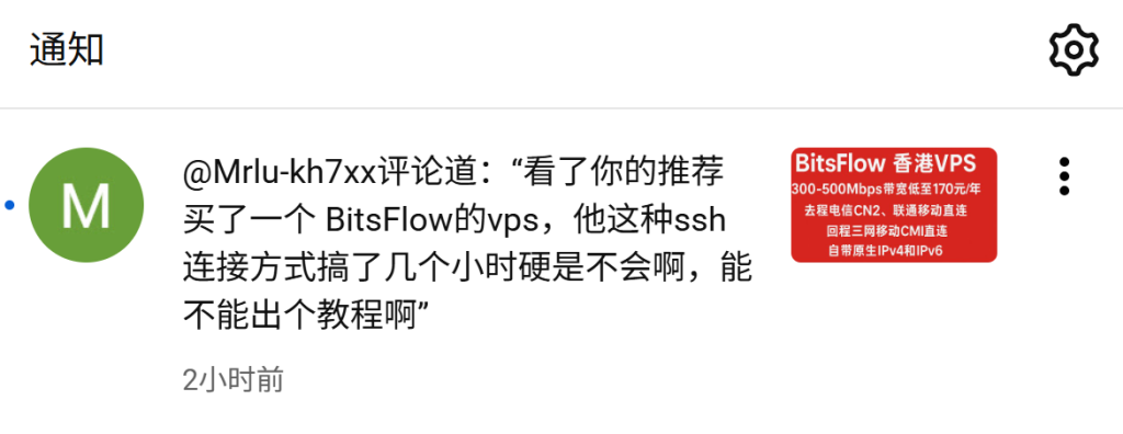 BitsFlowCloud VPS登录教程：SSH连接配置全过程（附图文）-国外VPS测评
