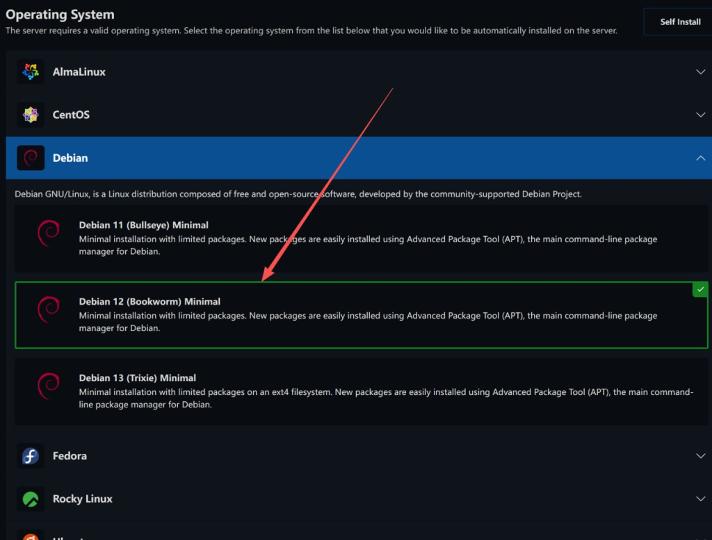 BitsFlowCloud VPS登录教程:SSH连接配置全过程(附图文)