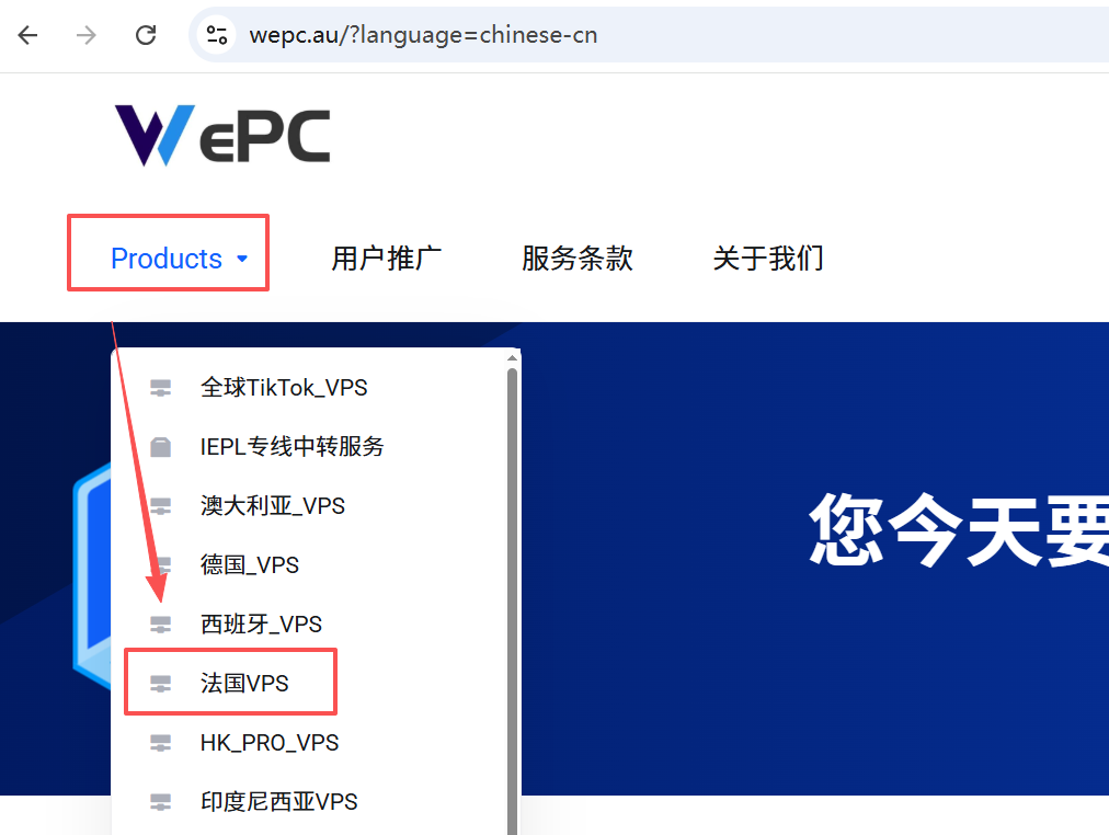 WePC法国家宽VPS深度测评:双ISP原生住宅IP适合跨境外贸的普罗旺斯节点解析